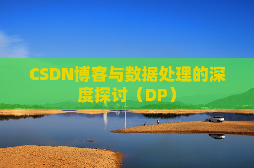CSDN博客与数据处理的深度探讨（DP）